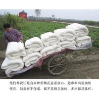 棉花被子手工棉被芯冬被加厚全棉春秋棉胎学生棉絮单人床垫被褥