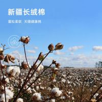 毛巾棉成人中巾家用洗脸巾吸水不掉毛男士洗澡面巾