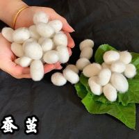 手工蚕丝被桑蚕丝夏凉春秋空调冬季真蚕丝被芯加厚