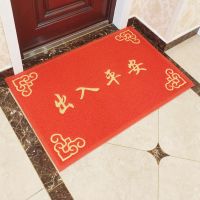 大门口地毯地垫门垫丝圈入门地垫脚垫防滑垫进门垫子出入家用