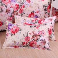 枕套一对斜纹加厚枕头套单人枕套双人枕芯套学生宿舍枕头套一对装