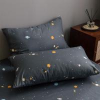 宇宙深色灰色耐脏100棉学生宿舍枕头套单件全棉单只一对装48x74