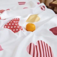 可爱卡通四件套床上用品秋冬被套公主风儿童男生女生宿舍三件套4