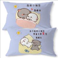 男女枕头套装夏天情侣礼物一男一女单人成人枕头芯可爱网红