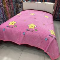 四季款床盖水晶绒双面盖毯榻榻米大炕床单加厚夹棉防滑新款