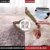 加厚地毯卧室可爱房间床边毯满铺榻榻米垫客厅沙发茶几地毯地垫