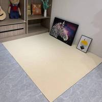 米白色地毯网红直播间色地垫拍照摄影衣帽间满铺客厅榻榻米