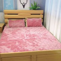 法兰绒床垫 日系防臭发热功能柔保暖单双人学生秋冬新款