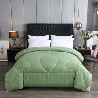 蚕丝被被子加厚冬被春秋被空调被单双人夏凉被芯