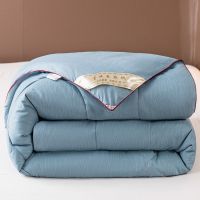 蚕丝被空调被夏凉被春秋被加厚冬被褥单双人宿舍四季通用被子