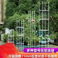 爬藤架铁线莲攀爬花架月季植物藤月花支架园艺用品