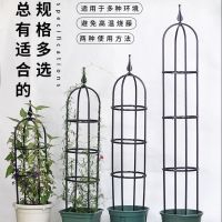 园艺爬藤花支架植物月季铁线莲紫藤支架攀爬花架阳台支撑架8mm