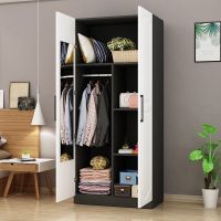 现代简约型双门衣柜欧式储物柜成人简易大衣柜带有穿衣镜