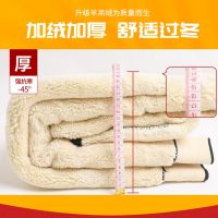 棉800g带口袋羊羔绒特厚打底裤女冬加绒加厚大码保暖棉裤