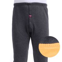 秋冬款单层加绒大码中年男士保暖裤护膝色修身保暖打底裤男绒裤