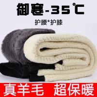 加绒加厚羊毛裤冬款男女护腰护膝羊羔绒保暖裤中老年人特厚羊绒裤