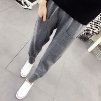 大码百搭针织束脚哈伦裤女秋冬新款200斤胖mm宽松显瘦萝卜休闲裤