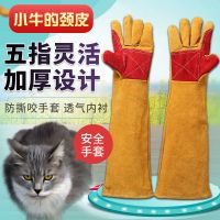 防咬手套训犬防猫狗宠物抓咬手套防抓挠伤加厚牛皮长款耐撕咬