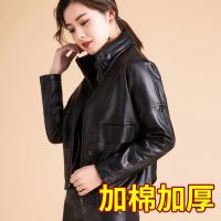 2021春秋新款海宁绵羊皮皮衣女韩版宽松立领洋气皮夹克时尚外套