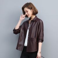 2021春装新款海宁皮皮衣女士短款绵羊皮夹克修身显瘦小个子外套