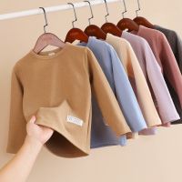 儿童磨毛德绒秋衣冬宝宝男女童加厚内衣打底衫中大童保暖上衣t恤