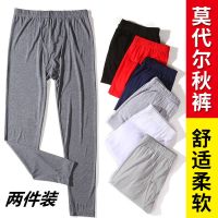 男士薄款秋裤夏季薄空调裤中老年大码线裤衬裤松口打底裤