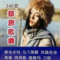 草原歌曲TF卡内存卡天籁之音收音机插卡音箱经典草原歌曲音频卡 4GB 草原歌曲340首