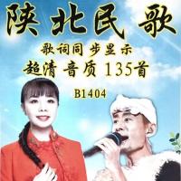 陕北民歌内存卡音频卡带歌词显示TF卡tf卡老年收音机插卡音响用卡 1GB 发128MB音频卡