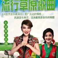 首草原歌曲TF卡内存卡天籁之音收音机插卡音箱经典草原歌曲音频卡 16GB 5888首音频(内存卡)