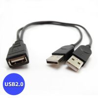 双USB供电 移动硬盘数据线 一分二USB 2公1母 电脑硬盘辅助供电线 USB2.0[长39cm]