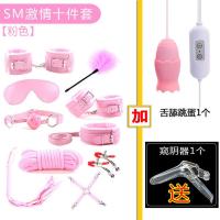 调情趣用品sm捆绑式绳手铐皮鞭子玩具床上另类套装夫妻性工具道具 情趣毛绒十件套[粉色] [无配选]