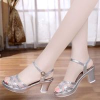 鱼嘴网纱女鞋夏季凉鞋女中跟韩版2021新款高跟鞋粗跟防水台鱼嘴鞋 银色 38