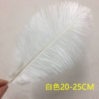 白色鸵鸟羽毛少女美甲美睫拍照道具羽毛ins演出婚庆羽毛装饰羽毛 20-25CM白色羽毛 1支