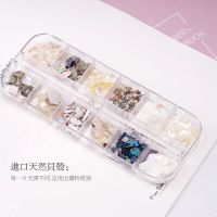 新款美甲贝壳石鲍鱼片日系超薄碎片指甲装饰品贝壳片diy材料柳丁 [12款长盒原色贝壳片]