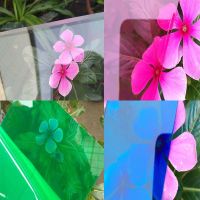 阳光板pc透明耐力板采光板遮阳板雨棚板阳光板湖蓝板阳光瓦透明瓦