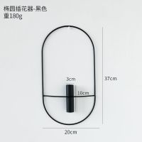墙上装饰品挂件铁艺插花器墙壁假花干花挂饰房间客厅背景墙面布置 单个椭圆插花器-黑色