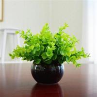 仿真绿植小盆栽景家居客厅摆设件书桌迷你装饰假花塑料假植物米兰 1号米兰+黑瓷盆