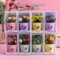 精美小礼盒 精致圣诞礼物同学互赠朋友闺蜜发光生日花许愿瓶毕业 迷你花盆1个(颜色随机发 尺寸很小) 礼物和礼盒