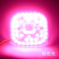 led吸顶灯灯芯灯盘改造灯板节能灯泡led贴片圆形模组透镜彩色光源 粉光 12W-led吸顶灯模组