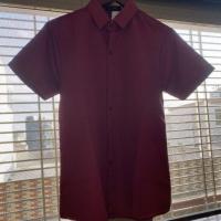 休闲夏威夷衬衫短裤夏季潮流宽松短袖日系炸街海边情侣沙滩套装男 酒红色短袖 单件 L