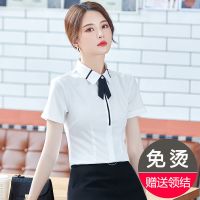 白色衬衫女短袖职业正装韩版上衣夏季新款时尚洋气百搭衬衣工作服 白色衬衫[送领结] S