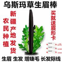 新疆乌斯曼草眉笔乌斯玛草棒生眉棒螺子黛睫毛增长液营养液草浆粉 生眉棒1支(送眉卡)