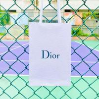 专柜迪奥/Dior包装盒子 礼盒空盒子 高档礼袋 手提袋 礼盒包装盒 口红袋(14.5*8*22.5)