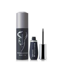 防过敏眼线液 防水汗不晕染控油硬头 软头新手初学眼线黑色易上色 A款[硬头]1只