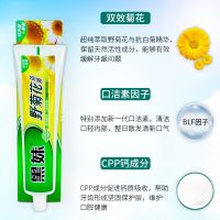 黑妹野菊花210g 清火护龈 180g黑妹小苏打(新老包装随机发)[11月22日发完] 210g野菊花 1支装