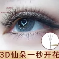 0.03三叶草嫁接睫毛水貂毛自然浓密美睫店专用y型睫毛软毛3d开花 三叶草(3大排) C-8mm