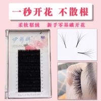 山茶花自动一秒开花嫁接睫毛太阳花漫画款慵懒风柔软貂毛美睫睫毛 0.05 婴儿弯 8mm