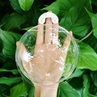 壁挂透明亚克力水培花瓶创意家居装饰品墙挂式花盆花器悬挂小鱼缸 150mm透明+无痕钉