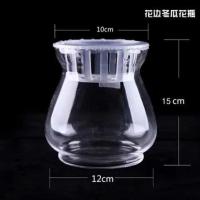 特大号水培植物玻璃瓶透明水养绿萝花瓶花盆圆形容器鱼缸器皿摆件 15冬瓜小号(含水培定植篮)