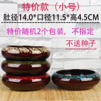 特价大号碗莲花盆陶瓷花盆水仙花睡莲荷花铜钱草绿萝水培植物花盆 (小号)特价款窑变随机2个实惠装